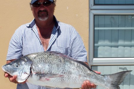 Hierdie pragtige wit steenbras (5.3kg) is deur klublid De Wet Gilliomee van die Birkenhead Boothengelklub tydens die klub se 2de 2015-boothengelkompetisie op Saterdag, 4 Januarie 2015 gevang. 